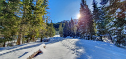 Auf dem Weg zur Kolbensattelhütte