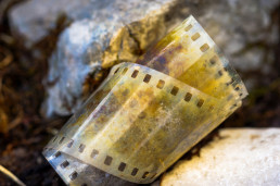 Analog Film