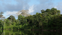 Suriname