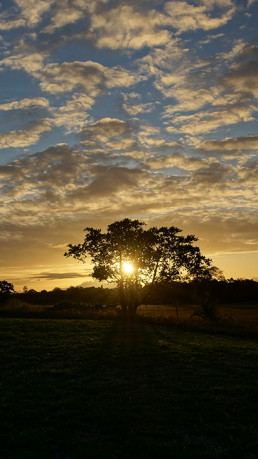Palumeu Suriname