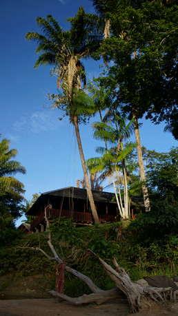 Awarradam Suriname