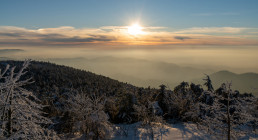 Hornisgrinde, Schwarzwald