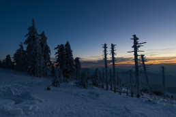Hornisgrinde, Schwarzwald