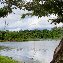 Palumeu Suriname