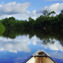 Palumeu Suriname